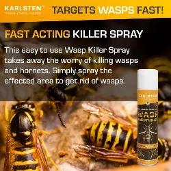 Karlsten Wasp & Nest Killer 100% Destroy Wasps Nests