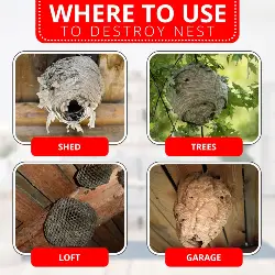 InsectoKil Wasp Nest Killer Foam Destroy Wasps Nests